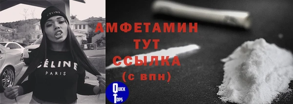 амф Вязьма