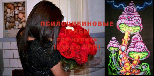 твердый Вяземский