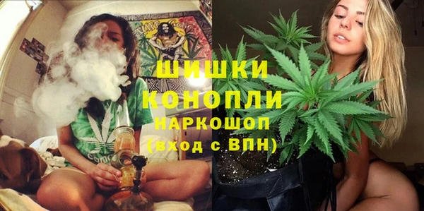 амф Вязьма