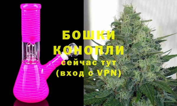твердый Вяземский