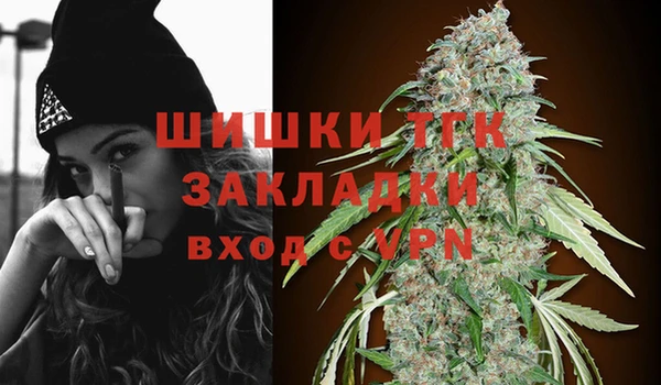 амф Вязьма