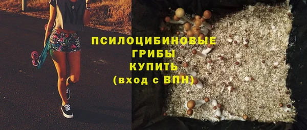твердый Вяземский