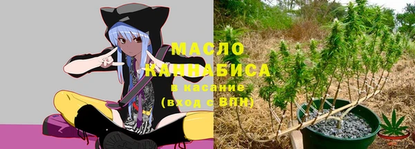 твердый Вяземский
