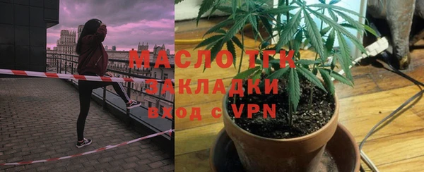 твердый Вяземский