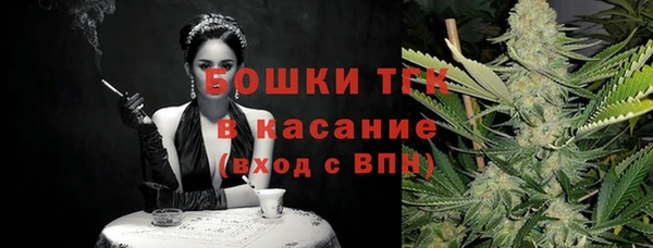 твердый Вяземский