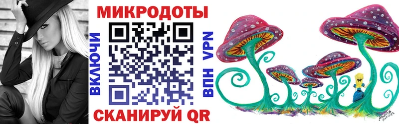 Купить  Саки  Псилоцибиновые грибы Psilocybine cubensis 
